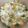 Cooksnap dari Alice Kitchen untuk resep Sausage and Macaroni Soup