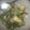 Cooksnap dari laila safitri untuk resep Gulai Tauco Buncis