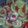hbogner15's cooksnap of when they made Tomato, cucumber and onion salad.