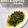 Cooksnap dari Cory Rahmaniah untuk resep Kangkung bumbu plecing ala aku