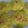 Daksha Bandhan Makwana's cooksnap of when they made ઢોકળા (Dhokla recipe in Gujarati).