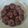Cooksnap dari annisa untuk resep Choco chips cookie
