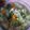 Cooksnap dari Vincentia R.Indah H untuk resep Sayur asem