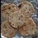 Jagruti Desai's cooksnap of when they made પુરણપોળી (ગળી રોટલી) Puran Poli Recipe In Gujarati).
