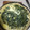 El cooksnap de Mariela Leone cuando hizo Tarta rápida de acelga y atún.