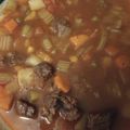 El cooksnap de ignadiamonds cuando hizo Sopa de carne de vacuno a la antigua.
