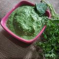 Dipti Patel's cooksnap of when they made ચટણી..(chutney recipe in gujarati).