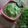 Dipti Patel's cooksnap of when they made ચટણી..(chutney recipe in gujarati).