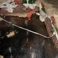 El cooksnap de Melisa Gonzalez cuando hizo HamburPizza 😋.