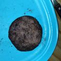 El cooksnap de DELFINA cuando hizo Cookie al microondas.