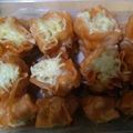 Cooksnap dari Rini Triana Marthiani untuk resep Dimsum ayam