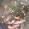 Cooksnap dari Bunda Ririn untuk resep Tumis cumi tinta hitam // Oseng cumi // Tumis balakutak