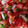 kilbobaggins's cooksnap of when they made Pico de Gallo.