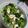 El cooksnap de Ana cuando hizo Almuerzo light con brócoli.