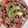 El cooksnap de Josefina Mendoza cuando hizo Ceviche de atún.