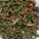 Cooksnap dari Muh Arsyad untuk resep Sambal Teri Kacang Panjang