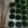 Cooksnap dari Ratna untuk resep Kue bugis ketan hitam