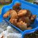 Cooksnap dari IG @aqiqahanaku untuk resep Udang Nugget Kress!!!