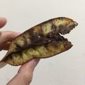 Cooksnap dari tikarosyida untuk resep Terang bulan teflon