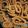 Rajeshwari Bhat's cooksnap of when they made Murukku.