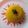 Rosa Muthoni's cooksnap of when they made Tumeric Rice.