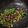 Cooksnap dari Rezy Lestyana untuk resep Tumis Kerang cabe ijo