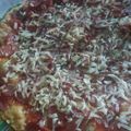 Cooksnap dari Ayu Paradella untuk resep Pizza simple 4bahan 3toping