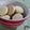 El cooksnap de cynthia ottonello cuando hizo Scones dulces.
