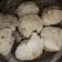 Cooksnap dari ima untuk resep Cireng Crispy Anti Gagal