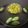 Ila Naik's cooksnap of when they made પરવળ નું શાક (Parval Shak Recipe In Gujarati).