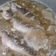 Cooksnap dari mega.ms untuk resep Ikan Kembung Rebus Simple