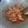 Cooksnap dari Yona Damayanti untuk resep Ayam Goreng Ungkep (bumbu kuning)