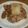 ball.nathan.w's cooksnap of when they made Must Have Meat Lasagna.