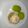 El cooksnap de María G. Galindo cuando hizo Mug cake de avena y kiwi 🥝.