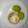 El cooksnap de María G. Galindo cuando hizo Mug cake de avena y kiwi 🥝.
