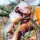 Cooksnap Fotokulinaria by Claudia Jordan z czasów, kiedy przygotował 17 Grudnia - Cookpadowy Kalendarz Adwentowy.
