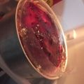 El cooksnap de Flavia Viera cuando hizo Bombas rellenas- Masa Choux.