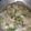 Cooksnap dari Asilia Sesilia Ayusitha untuk resep Sayur sop paling enak