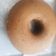 Cooksnap dari Neetha Kitchen untuk resep Bolu Coklat
