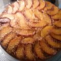 Brenda Castillo's cooksnap of when they made nectarine sliced cake.