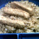 Cooksnap dari elvira Agustina untuk resep nasi goreng nugget