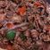 Cooksnap dari Yulita Endang untuk resep Beef teriyaki ala-ala yosinoya