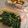 Cooksnap dari Ika Nawang Wulan untuk resep Butter Spinach
