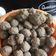 Cooksnap dari Titik Herlina Wati untuk resep Bakso Daging Sapi