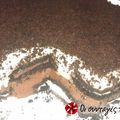 Cooksnap από Κατερίναα στη συνταγή Γλυκό ψυγείου με oreo μπισκότα
