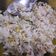 Cooksnap dari Susi Evanta Depari untuk resep Nasi goreng ala chinese food