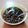 Cooksnap dari Joko Kan untuk resep Sotong Lada Hitam