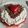 El cooksnap de Monik cuando hizo Tarta de vainilla con butter cheese cream y fresas.