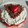 El cooksnap de Monik cuando hizo Tarta de vainilla con butter cheese cream y fresas.
