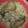 Cookiie4's cooksnap of when they made Herbal Lemon Butter Salmon (or Tilapia).